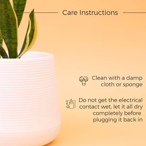 Image of KYARI Illuminati Led Plastic Pots for Indoor Plants with Drainage Hole & Stand (Best Flower Pots & Planters for Home Decor, Living Room, Kitchen, Bedroom, Table Top, Office, Gifting, Red, Pack of 1)