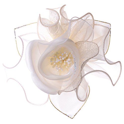 TeƃI[KW[̃RT[W { w  Ǝ  (ItzCg)