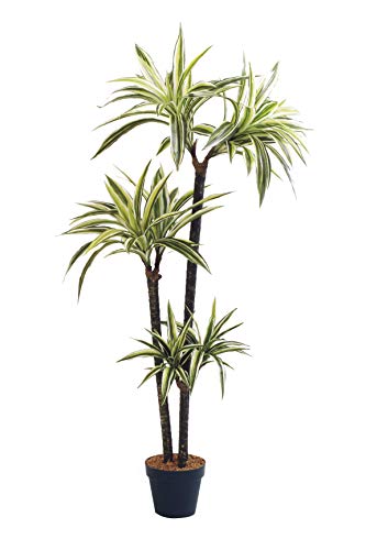 人工観葉植物 フェイクグリーン 観葉植物 造花 ドラセナ ツリー 陶器鉢付 光触媒 大型 フェイク グリーン インテリア おしゃれ 146cm