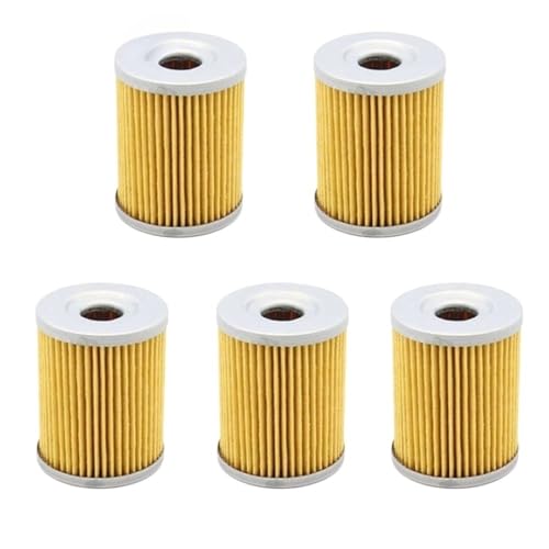 Filtre à carburant haute filtration pour LT-Z 250 et AN400