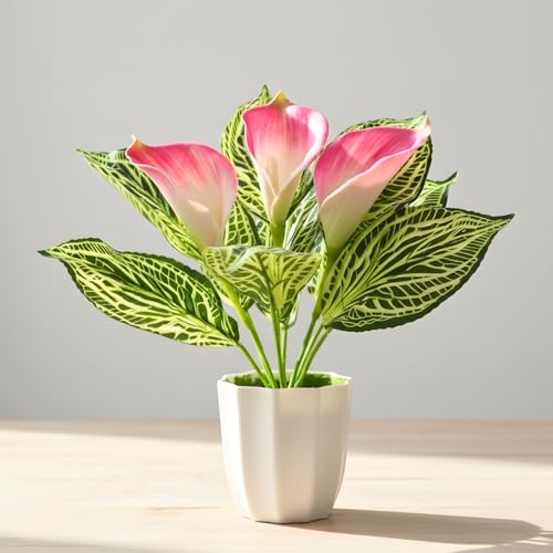 Image of fancymart Artificial Calla Lily Plant with Pot - 30 cm Height Decorative Flower Leaves (Pack of 1) | Realistic Faux Plant for Home & Office Decor | Table, Shelf & Desk Decoration
