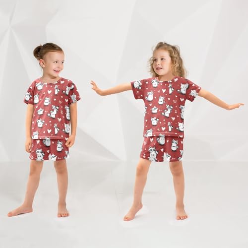 Pajama Sets Raccoon Pattern Short Sleeve Summer Sleepwear 2 Piece Pjs4