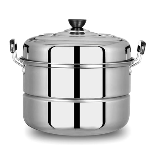 Fictory Pentola a vapore in acciaio inossidabile, grande capacità a 2 livelli per cucina, verdure e uova al vapore, design durevole, soluzione facile da cucinare