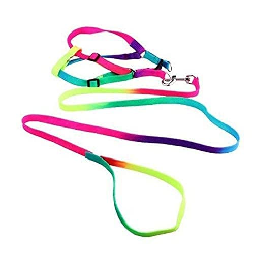 See full amazon price history chart for RvPaws Durable Nylon Color Full Rainbow Adjustable Harness And Leash For Dog,(Adjustable 15 Mm), Pack Of 1 RvPaws Durable Nylon Color Full Rainbow Adjustable Harness And Leash For Dog,(Adjustable 15 Mm), Pack Of 1 (B09J28T8T2) Amazon Price History, Amazon Price Tracker