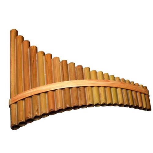 vdl̃pt[g 22pCvpt[gṽptH[}XlSҐty(C)