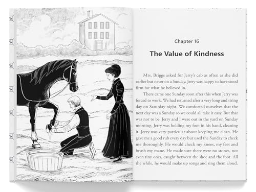 Image of Black Beauty - Illustrated Abridged Children Classics English Novel With Review Questions (Hardback)