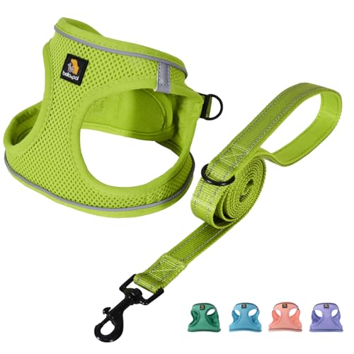 Xs Dog Harness The 15 best products compared Wild Explained