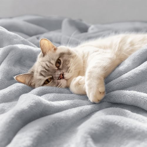 CozyLux Kuscheldecke Flauschig Decke 230x270 cm Hellgrau – Ansicht 4