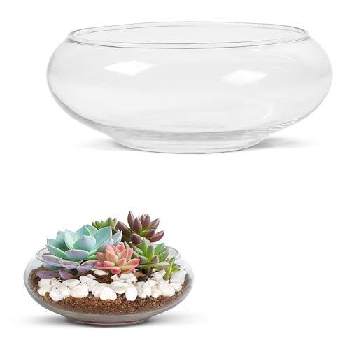 Winter Shore Bol de Flores para Terrario Plantas (Pack de 2) - Contenedores Tipo Pecera de Boca Ancha Medianos y Grandes para Suculentas, Guijarros - Kit Terrario Decorativo de Cristal Transparente