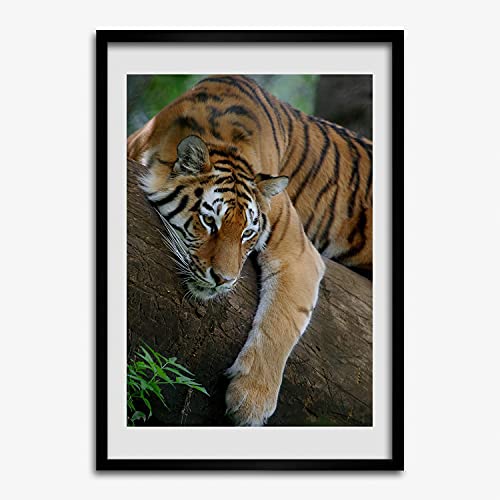 Tableau moderne tigre sur l'arbre Tulup cadre en bois pour bureau élégant