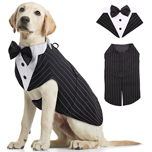 Lustige Kostüme für Hunde Die 15 besten Produkte im Vergleich