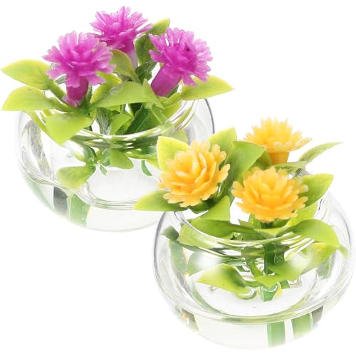 BESTonZON h[nEXANZT[ ~j`AAf KXAؔ ȉƂ̑p ~jnEX̖~ ʐ^Bep 2Zb