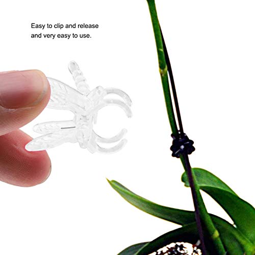 TOPINCN 100Pcs Orchid Clips - Image 3