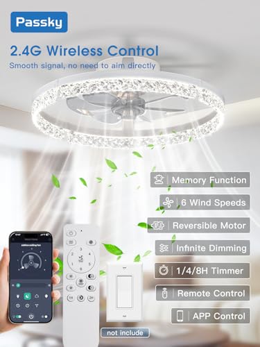 Image of Passky 20 inch Ceiling Fans with Lights and Remote, Low Profile Fandelier