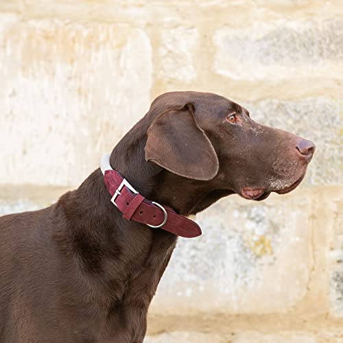 HUGO & HUDSON Luxury Dog Collar Round Rope and Leather with Adjustable Metal Buckle, Burgundy 60cm - Image 2