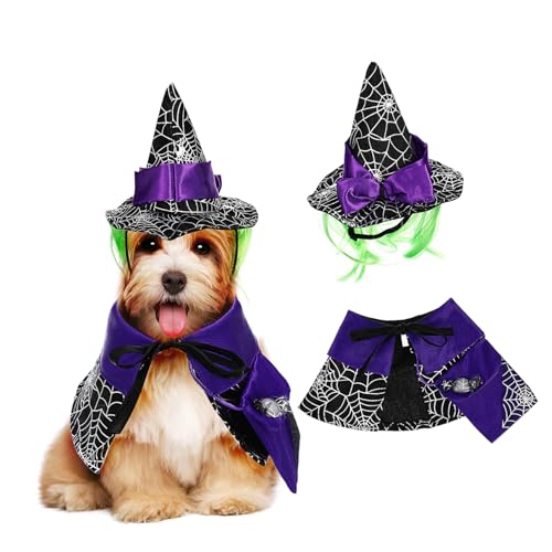 Milisten nEBp LƎq P[vƖXq _炩Tef