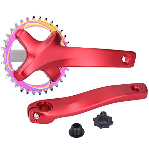 }EeoCN Cς ENN {guPbgȂ 34T VOXs[h NNZbg ()