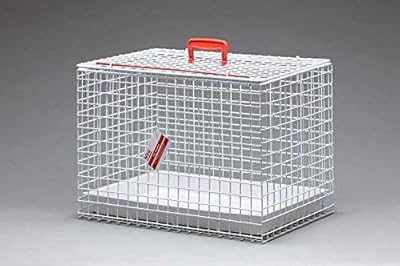 MDC Cat Carrying Basket, White, top opening with durable handle