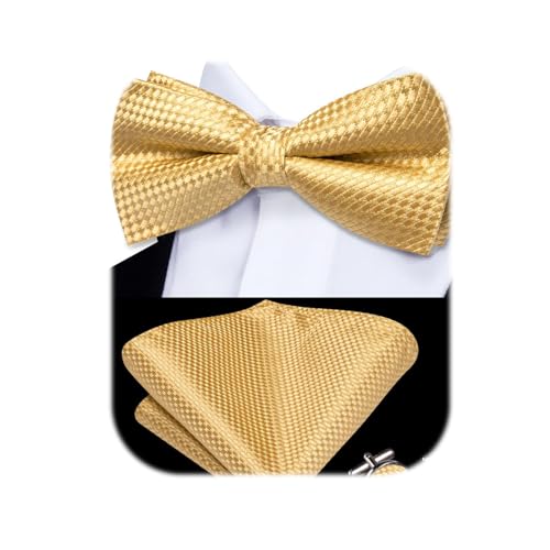 Image of Dubulle Mens Paisley Striped Bowtie Set Pre-tied Bowtie for Men and Pocket Square Set Wedding Business