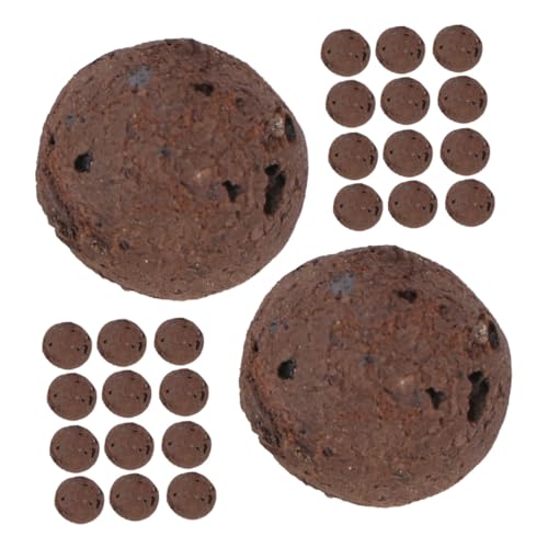 FONDOTIN Argile Expansée Aérée pour Plantes Succulentes Intérieur Drainage Optimisé Support Culture Hydroponique Potager Jardin