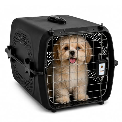 Image of Foodie Puppies Imported Plastic Pet Travel Carrier Cage (48.5 X 32 X 30 cm, Small) for Cats, Small Dogs, Puppies & Small Animals I Portable Transporter Box with Metal Door and Spring Lock