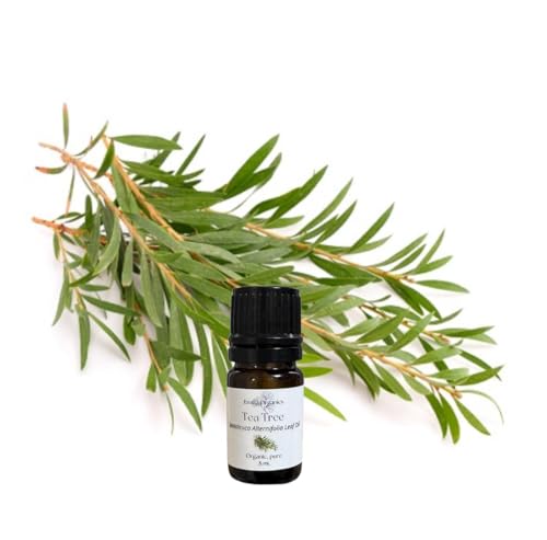Aceite Esencial de Árbol de Té Orgánico 5 mL