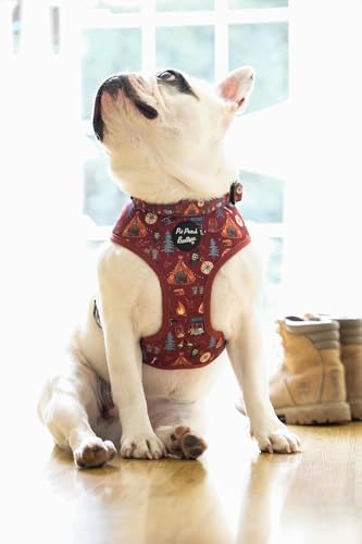 Great Adventure Dog Collar M, Red, medium - Image 3