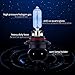 NEWBROWN 9005 Headlight Bulbs HB3 9005 Halogen Bulb 5000K Super White Light Long Life Replacement P20D 12V/60W (9005/HB3, 2 Pack)