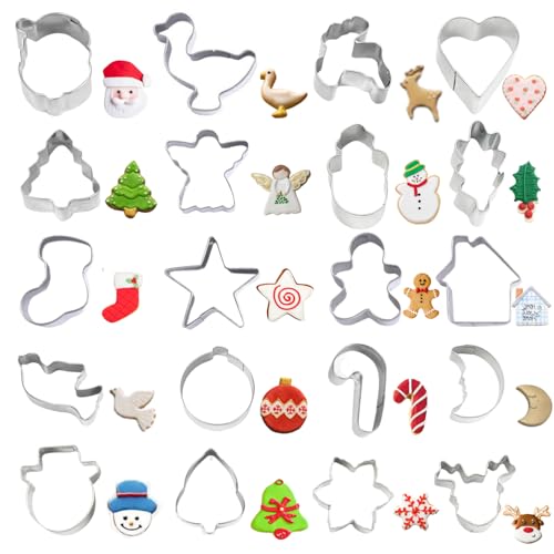 Crethinkaty Mini Christmas Cookie Cutters Set 20 Pieces Stainless Steel Cookie Cutter Set for Baking -Christmas Tree,Snowman,Reindeer,Santa Face, Star,Stocking,Candy Cane,Gingerbread Man and More