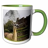 3dRose Llama, Machu Picchu, Cusco, Urubamba, Machupicchu District, Peru 11oz Two-Tone Green Mug
