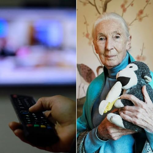 Lo que se sabe de la franja electoral y el legado de Jane Goodall