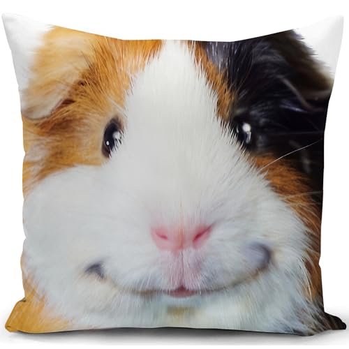 KUNQIAN Kissenbezug Meerschweinchen Kissen deko Geschenke für Frauen sofakissen kissenbezüge dekokissen couchkissen kissenhülle Sofa Schlafzimmer Wohnzimmer Zimmer zierkissen 40x40cm