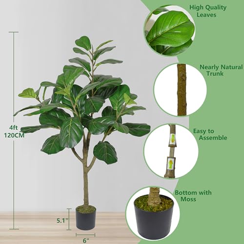 Comparativas de Árbol ficus - solo los mejores. 21 Comparativas de Árbol ficus - solo los mejores. 21