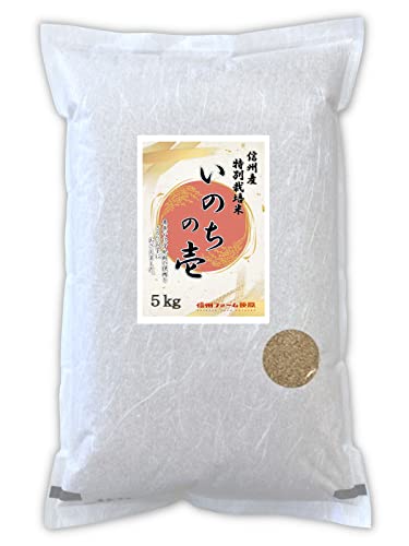 yVāzyāz MBY ʍ͔| ̂̈ 5kg ߘa7NY   R 쌧 MBt@[ ቷq ۑ