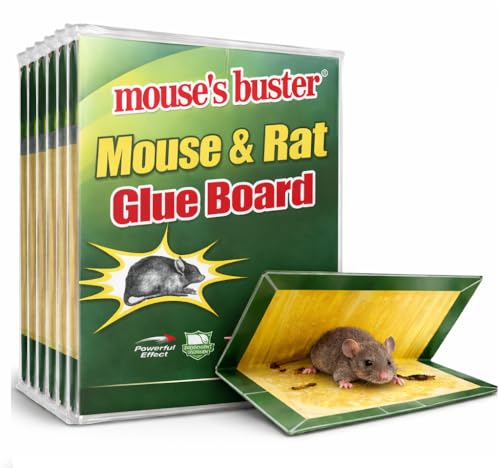 Trampas Adhesivas para Ratones y Cucarachas, Pack de 8, Sin Veneno, Pegamento Ultra Fuerte, Uso Interior Cocina, Garaje y Almacén