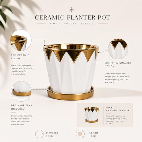 Image of Xtore Striking Geometric Ceramic Planter with Gold Accents & Drainage Tray | Sculpted Indoor Plant Pot for Tabletop, Desk & Living Space Styling (White & Gold) - Planter only