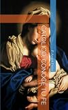CATOLICO, CONOCE TU FE (Spanish Edition)