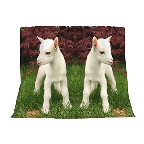 Couverture chèvre flanelle microfibre douce canapé lit voyage - 4