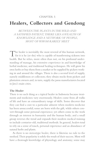 Indonesian Herbal Healing: The Science and Lore of Jamu Herbal Preparations and Treatments - Image 15
