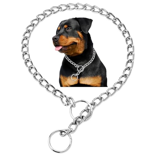 Silver Dog Chains,Metal Slip Link P Chain Training Heavy Duty Male Boys Martingale Collar Female Girls Puppy Collars for XXS XS Small Medium Large Big Breed,L L(Neck Max 20inch)D3.5mm Silver
