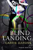 Cover zum Buch Blind Landing