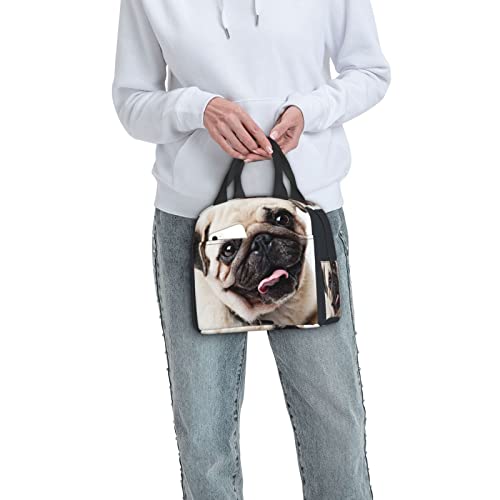 Debou Cool Pug Dog Insulated Lunch Bag Cooler Tote Reusable Leakproof Lunch Box Easy Clean For Work Office Picnic Beach Or Travel #TOP7