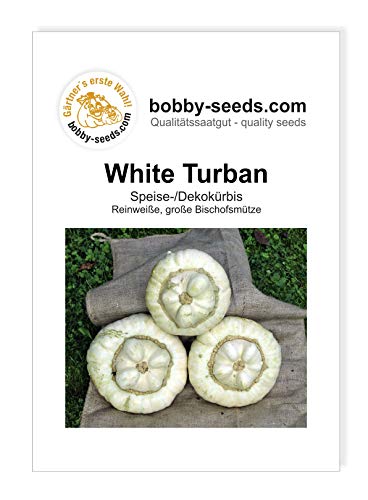 White Turban Bischofsmütze Kürbissamen von Bobby-Seeds, Portion