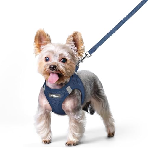 Image of rabbitgoo Dog Harness Small Sized and Leash Set, Step-in Puppy Pet Vest