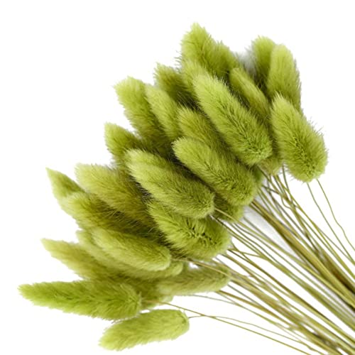 ChYoung 50pcs lapin queue pampas herbe décoration artificielle duveteux lapin queue fleurs séchées bouquet rustique ferme bohème mariage partie DIY arrangement floral maison décoration de table