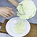 YODKIT All stainless steel cabbage shredder for lettuce,potato,carrot,cabbage shredded,Suitable for large hand,dishwasher safe,5-year warranty