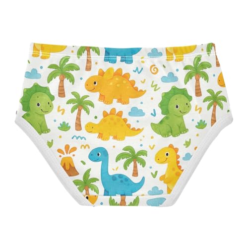 Joisal Toddler Underwear Floral 2t Cotton Panties Little Girl Funny Underpants Briefs Cute White Cartoon Dinosaurs2