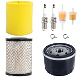 YTH22V46 Z254F Tune Up Kit for Husqvarna YTH24V48 Z254 Z246 ...
