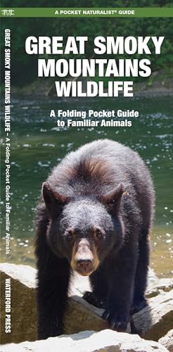 Great Smoky Mountains Wildlife: A Folding Pocket Guide to Familiar Animals (Parks & Public Lands Nature)