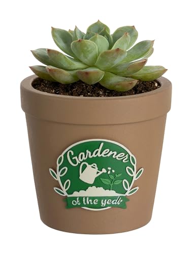 Dance Gift for Dancer Women: Hand-Painted Planter with 3D Relief - Dance Themed Gifts for Dance Lover Teacher Coach Girl - Dancer Present for Teachers Appreciation Week Christmas Birthday